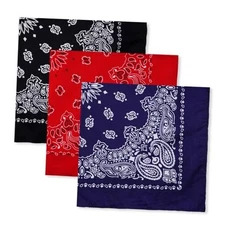 Pcs Paisley Pattern Bandanas for Men and Women Cowboy Bandana 3 Red Black Navy