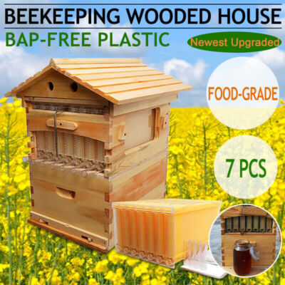Wooden Beekeeping Beehive House +7pcs Latest Auto Honey Bee Hive Comb Frames US
