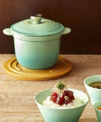 Le Creuset Cocotte Every Casserole Rice Pot 18cm Mint Green Cast