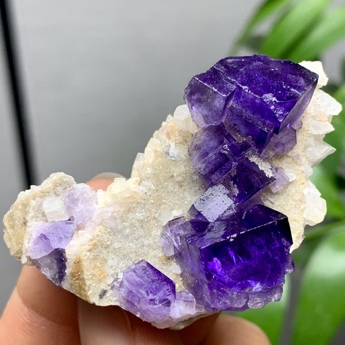 36G Natürliche Transparente Lila Kubische Fluorit Mineral Probe Innere Mongolei - Bild 6 von 21