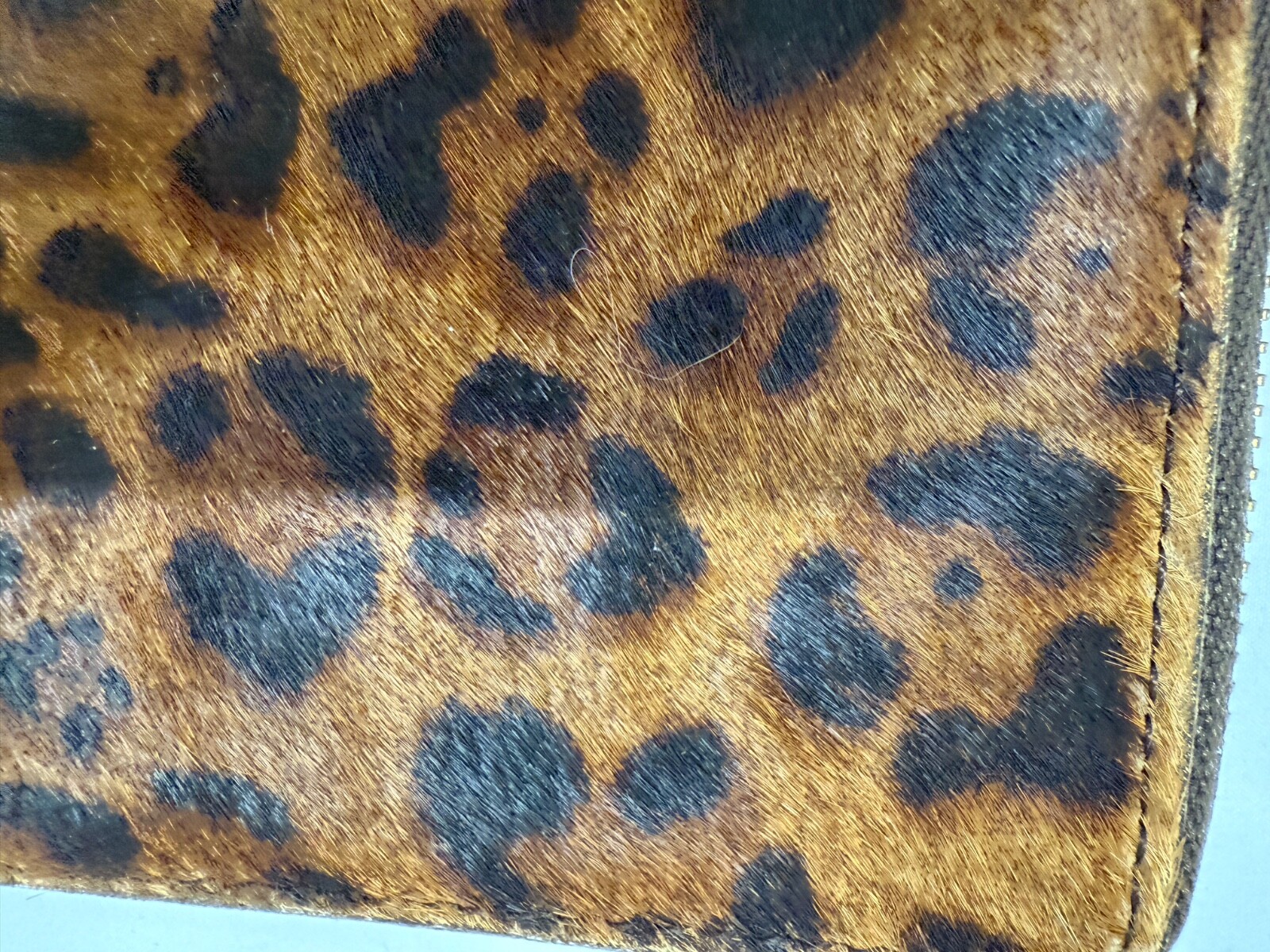 Picture 2 of 6