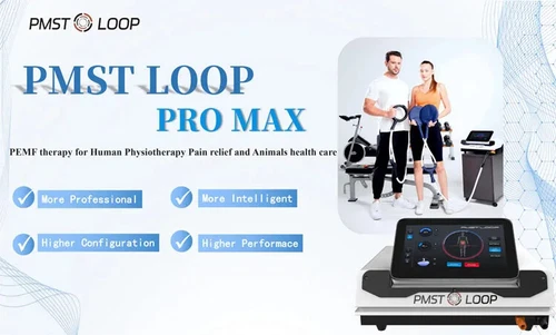 Pemf PMST Loop Immunity Enhancement Pain Relief Bones Repair Magnetic Machine - Picture 9 of 23