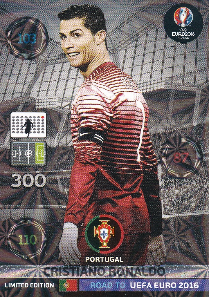 美品 ポルトガル初優勝 EURO2016展望ガイド＆大会総集編 2冊セット 美品 ポルトガル初優勝 EURO2016展望ガイド＆大会総集編 2冊セット