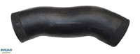 Bugiad 84607 Ladedruckschlauch FüR BMW