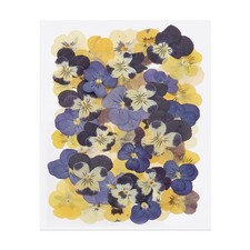 48 Pcs Dried Pressed Flower Leaves Bulk for Resin, Yellow Navy Blue