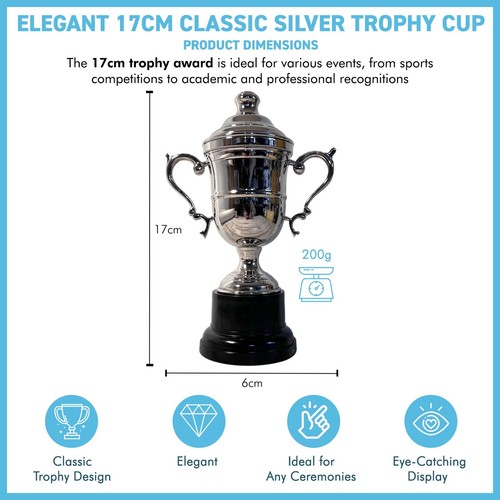 Silver Trophy Cup with lid 17cm - Ideal Award for achievements & celebrations - Picture 4 of 7