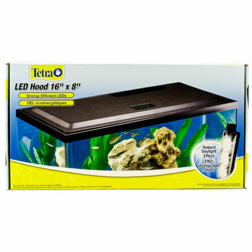 LANDEN Randloses Aquarium – 90 X 50 X 50 Cm, 208 Liter, 10 Mm Eisenarmes Glas | Inkl. Schwarzer Nivelliermatte