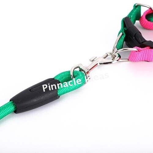 Nylon Puppy Training Lead Leash Recall Rope Obedience Long Slip Walk Adjustable - Picture 5 of 10
