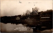 Real Photo Borden's Condensed Milk Factory NYC Ice House Fort Plain NY RPPC V367