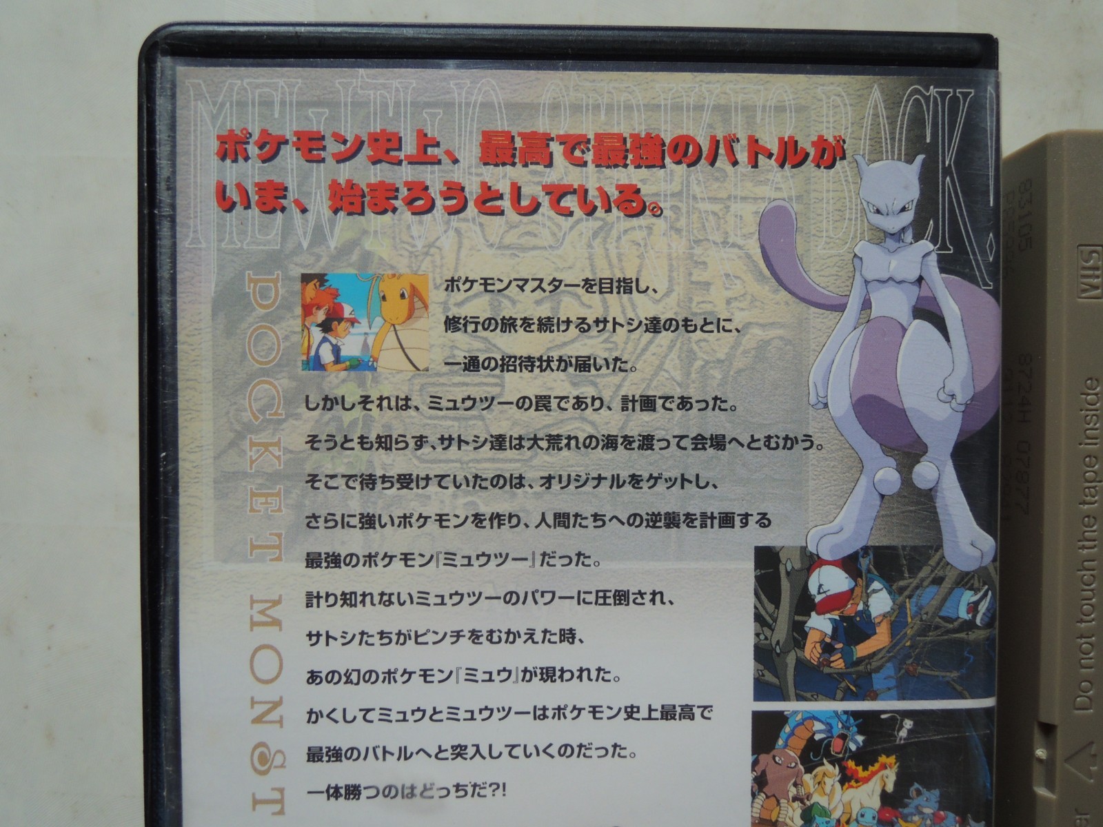 Photo 5