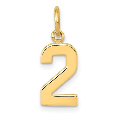 14k Yellow Gold Small Polished Number 2 Charm