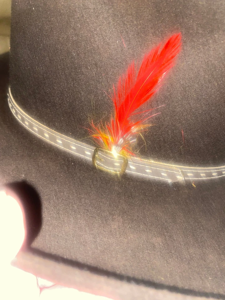 Sombrero de vaquero Stetson Western. Marrón muy oscuro (¿negro?) Castor 4 XXX Foto 2 de 4