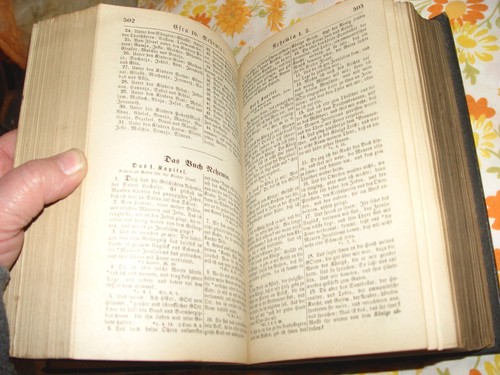 1915 Die Bibel Oder Ganze Heilige Schrift, German Bible D. Martin Luther - Picture 6 of 8