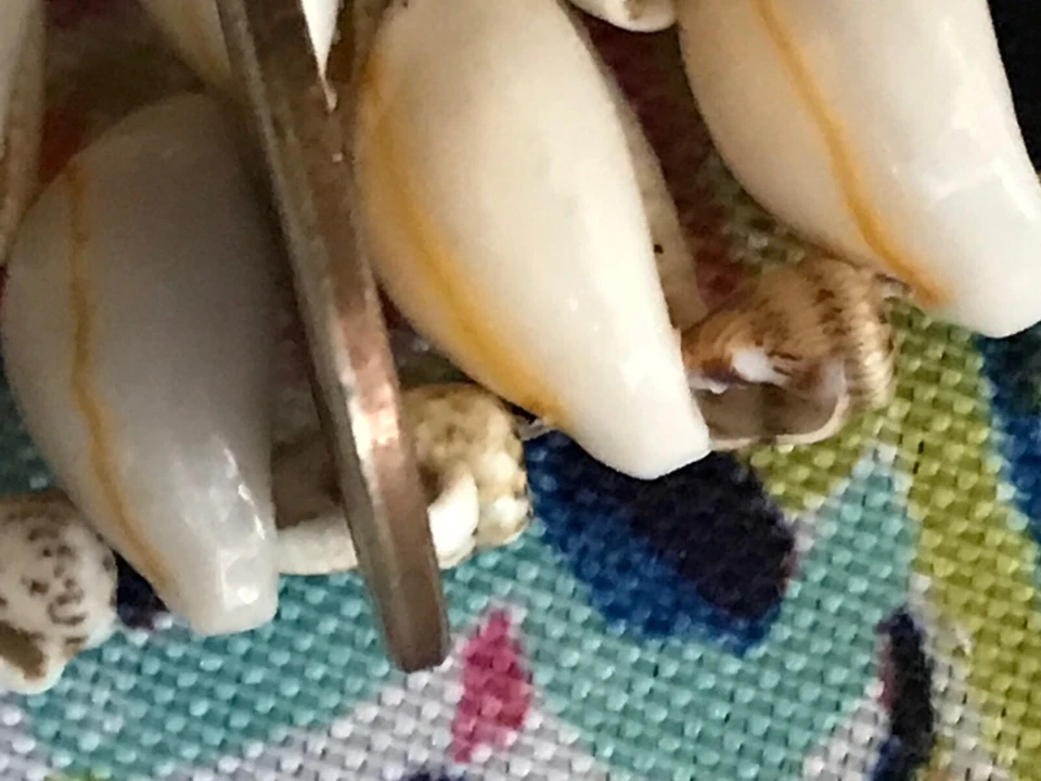 2007 $1 George Washington Presidential coin, ERROR, SMOOTH EDGE,NO DATE OR MINT - Image 2 of 4