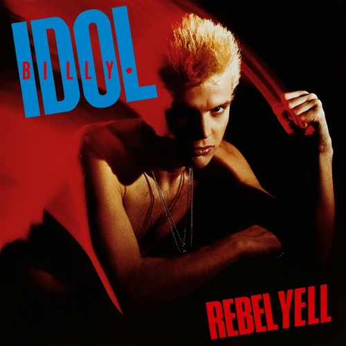 BILLY IDOL Rebel Yell BANNER HUGE 4X4 Ft Fabric Poster Tapestry Flag album art - 第 1/3 張圖片