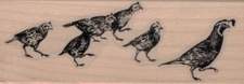 Family of Quails 1 1/2 x 4" Rubber Stamp, Bird Stamp, Quail Stamp