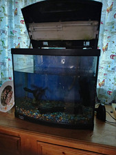Aqua One AquaStart 500 Glass Aquarium Hood/Light 50L Freshwater