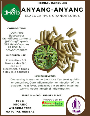 [idHerb] 100-800 Capsules Lily of the Valley Tree Elaeocarpus Grandiflorus