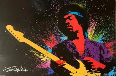 Jimi Hendrix 2010 Large Poster Pyramid Music Guitar Legend Wall Art 24"x36" New