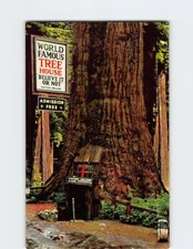 Postcard The Tree House Redwood Highway California USA