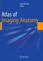 Lucio Olivetti | Atlas Of Imaging Anatomy | Taschenbuch | Englisch (2016) | Xi
