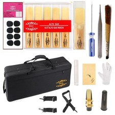 Professional Black Laquer E Flat Alto Saxophone Kit