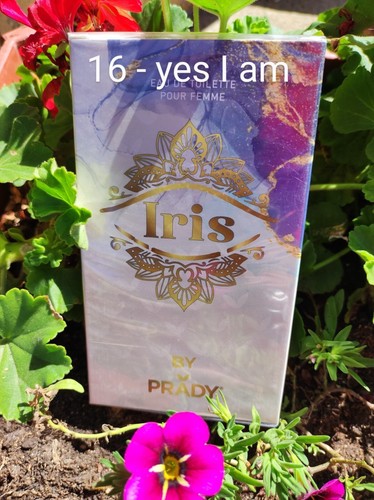 Parfum Générique Iris 100ml