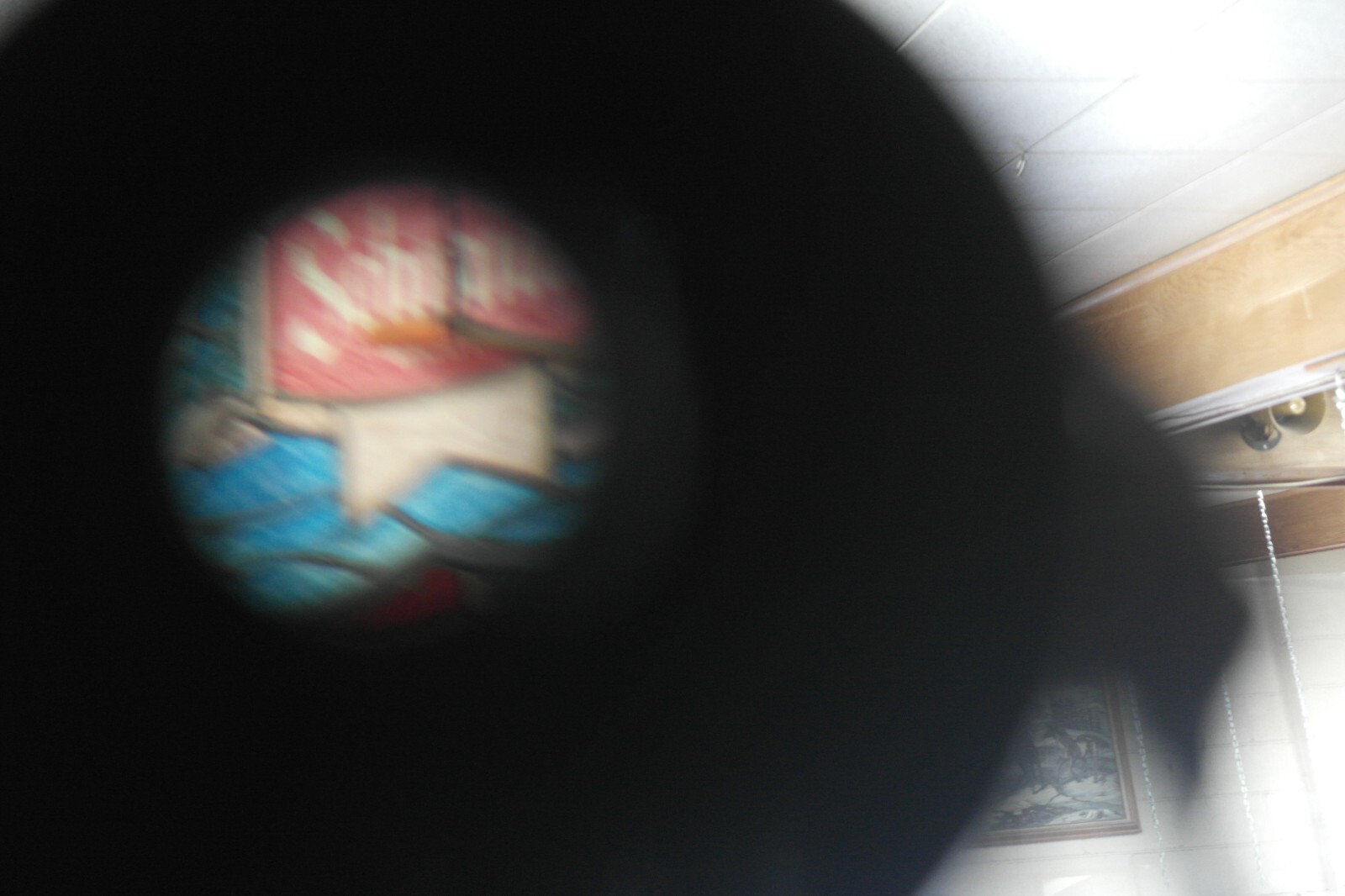 Vortex Diamondback 10x42 Waterproof Binoculars W/ Neck Strap & Case eBay