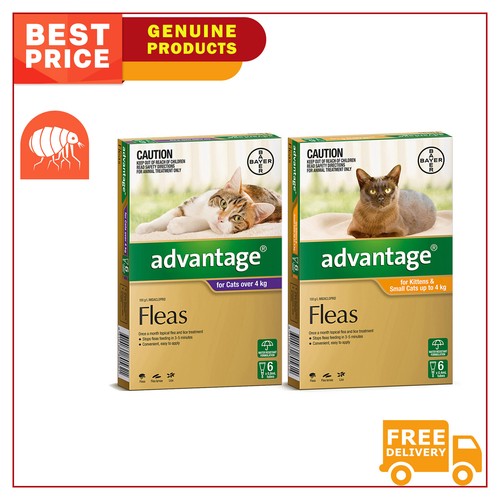 Picture of ADVANTAGE Monthly Topical Flea Prevention for Cats All Sizes 6 Pipettes ...
