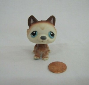 Details About Littlest Pet Shop Lps 68 Brown White Polar Husky Puppy Dog Blue Eyes Standing