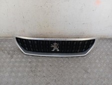 Calandre Peugeot EXPERT