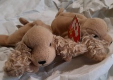 2-Ty Beanie Baby Spunky The Cocker Spaniel From 1997/ Retired/1 With Tags 1 w/o