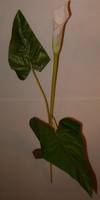 24 Stems Calla Lilly Stems W/leafs, Home Decor, Weddings , Etc. Silk Flowers 24 Stems Calla Lilly Stems W/leafs, Home Decor, Weddings , Etc. Silk Flowers