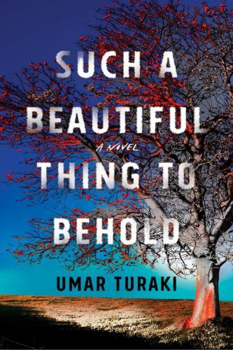Such a Beautiful Thing to Behold : A Novel by Umar Turaki (2022, Trade ...