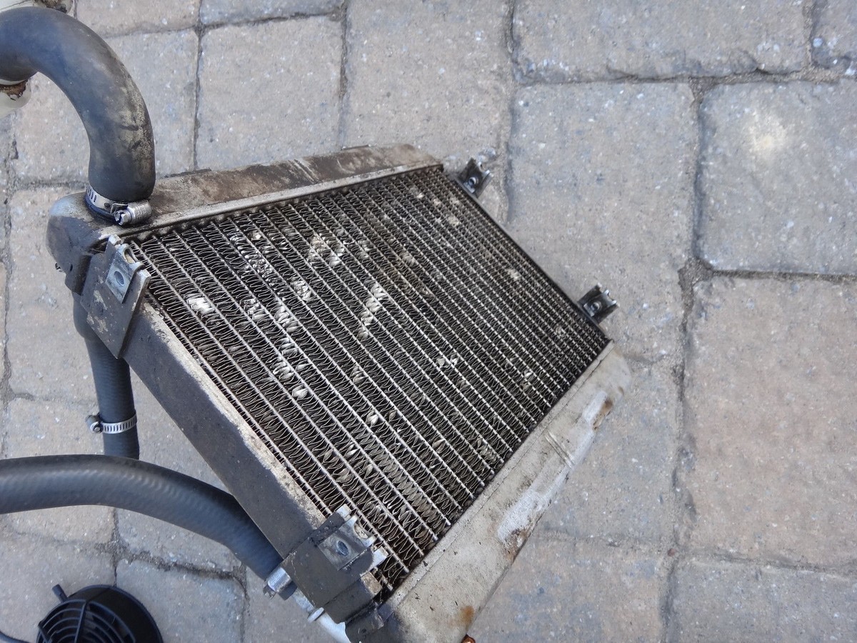 Cannondale 440 Cannibal Radiator Rad Cooling Engine Motor | eBay