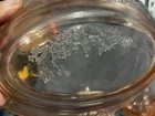 Pink Glass Floral Etched Candy Dish w/ Lid, Round 2-Piece Set, 1 Compartment — photo 2