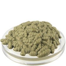 Swarm of Rot Grubs- Monster Menagerie Revisited 9 D D Icons of the Realms