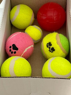 7er Pack Tennisbälle Outdoor Sport Spaß Hund Apportieren Spielen Fangen Spaß