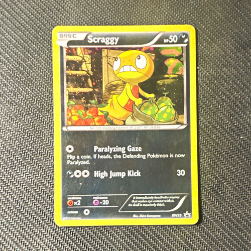 Scraggy BW25 Black & White Holo Promo LP