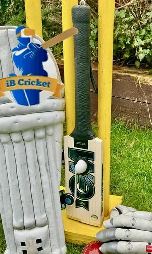 Gunn & Moore Aion VR IB Cricket bat For Meta Oculus Quest 3 & 3s Limited Edition - Imagen 1 de 13
