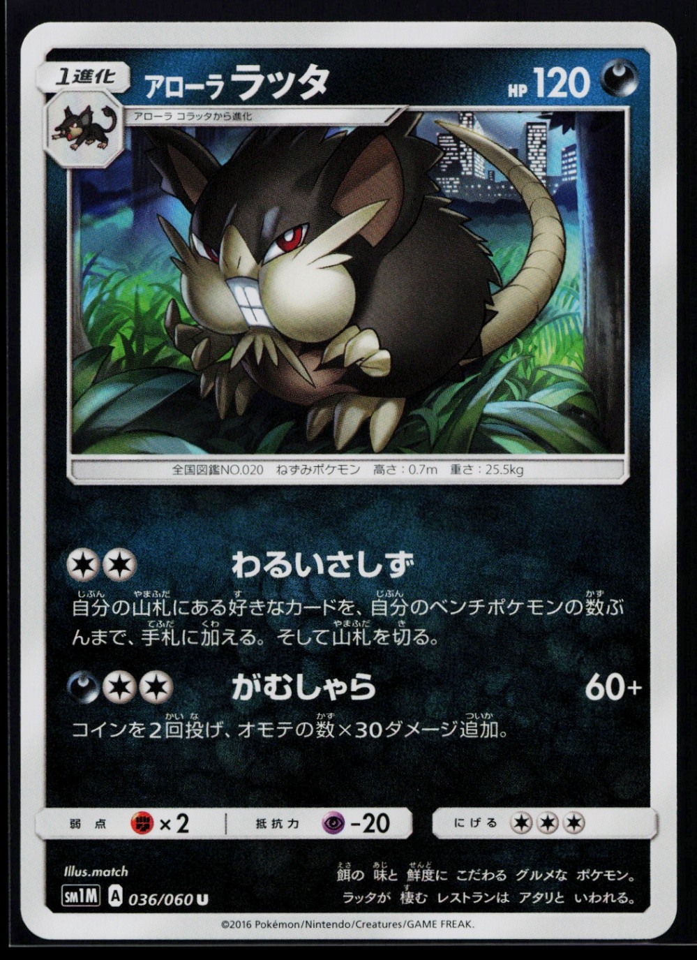 Alolan Raticate Uncommon SM1M: Collection Moon 036/060 NM B948