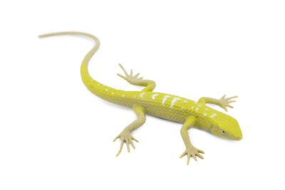 Southern Alligator Lizard, Reptile Toy, Realistic Figure, Model, 5