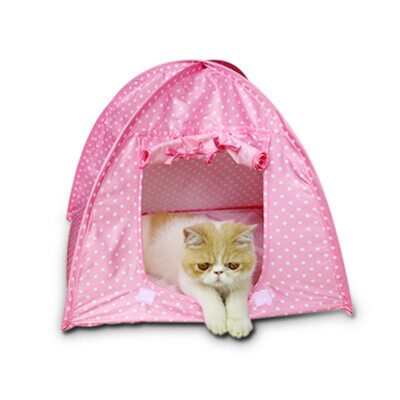 cat tent bed