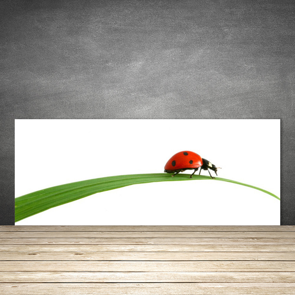 Crédence de cuisine en verre fond de hotte imprimé floral rouge 125x50