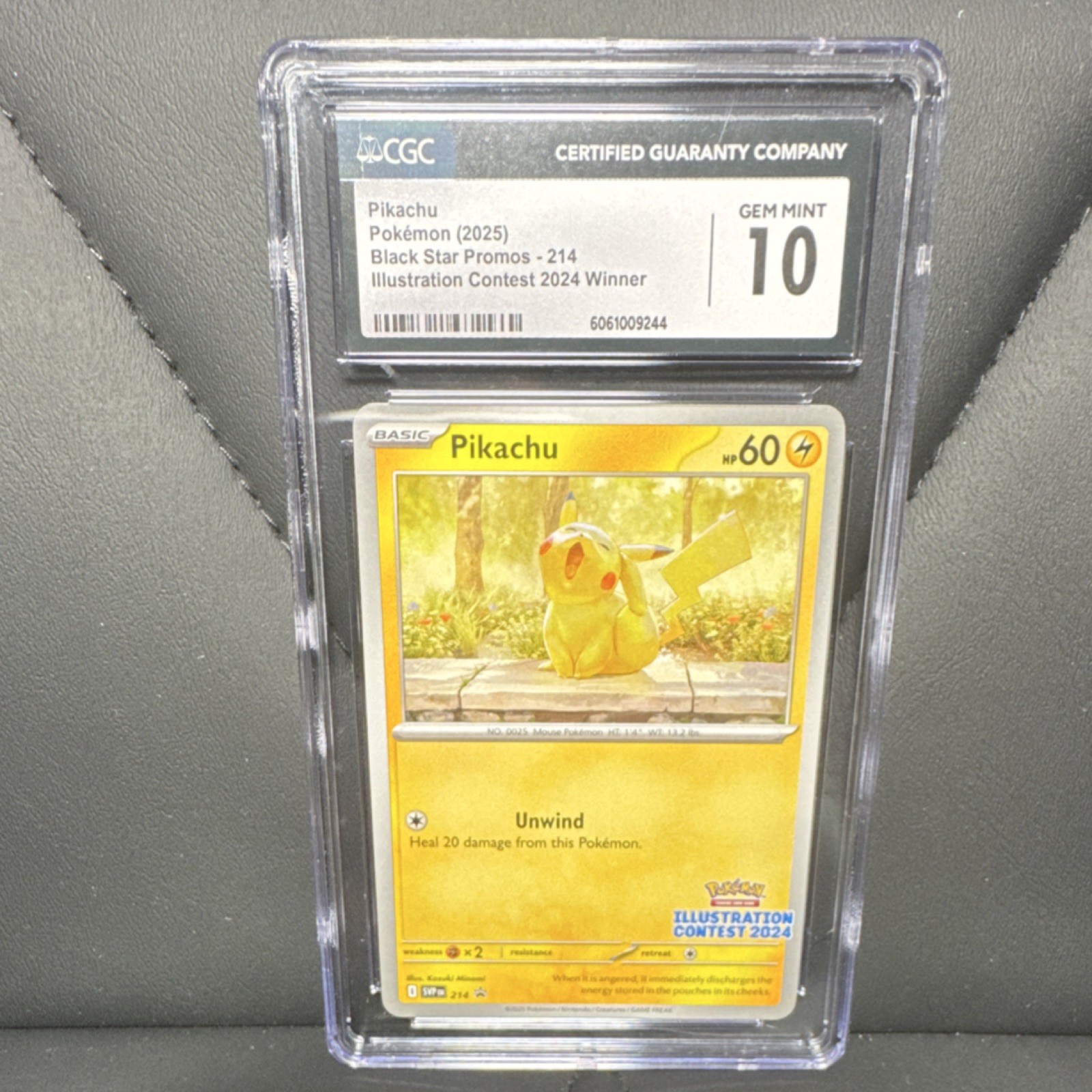Pokémon Pikachu 214 Sv: Scarlet & Violet Promo Illustration Contest 2024 CGC 10
