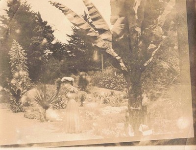 VTG Photo Beautiful Woman Victorian Style Fashion Feathered Hat Palm Trees