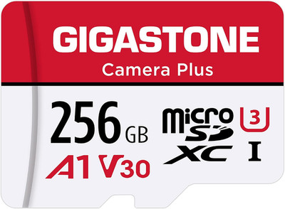 256GB Camera plus Series Memory Card, Read Speed up to 100Mb/S. Ideal for Full H