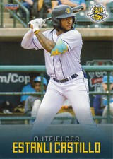 2023 Charleston RiverDogs Team Set Tampa Bay Rays Low-A Affiliate You Pick!