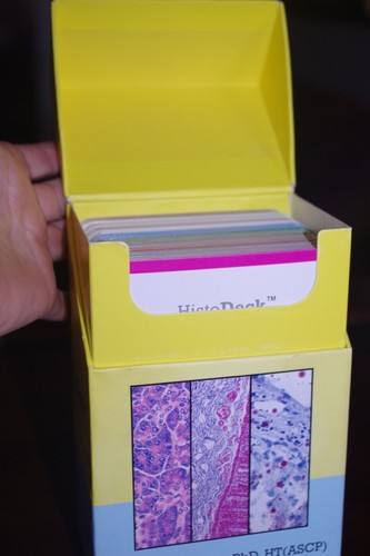 HISTODECK Companion Study Cards to Histotechnology - Frieda Carson- 3rd Edition - Picture 7 of 8