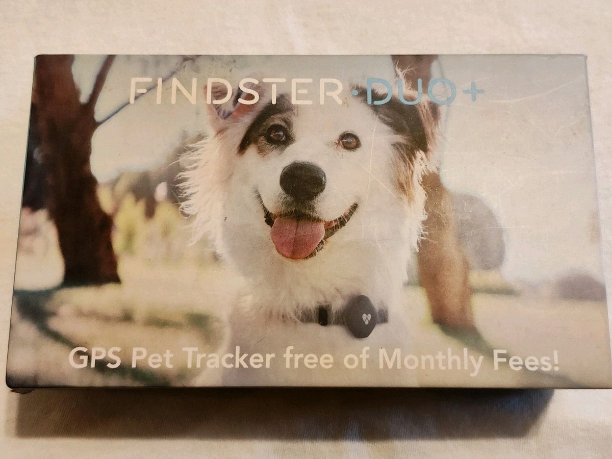 Gps Trackers Findster Duo For Cats Findster Duo Pet Tracker GPS